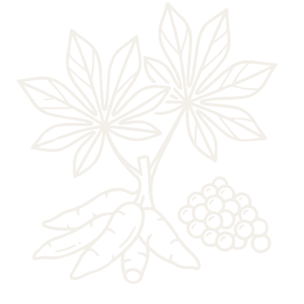 Tapioca