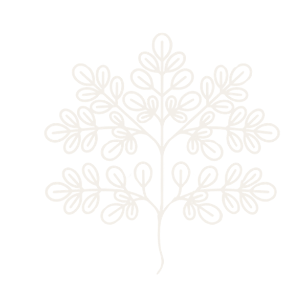 Moringa