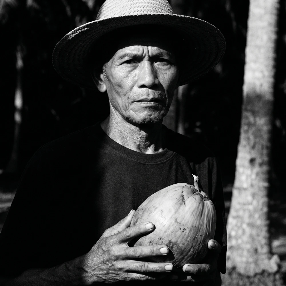 Sustainable Coconut Palm Farming
